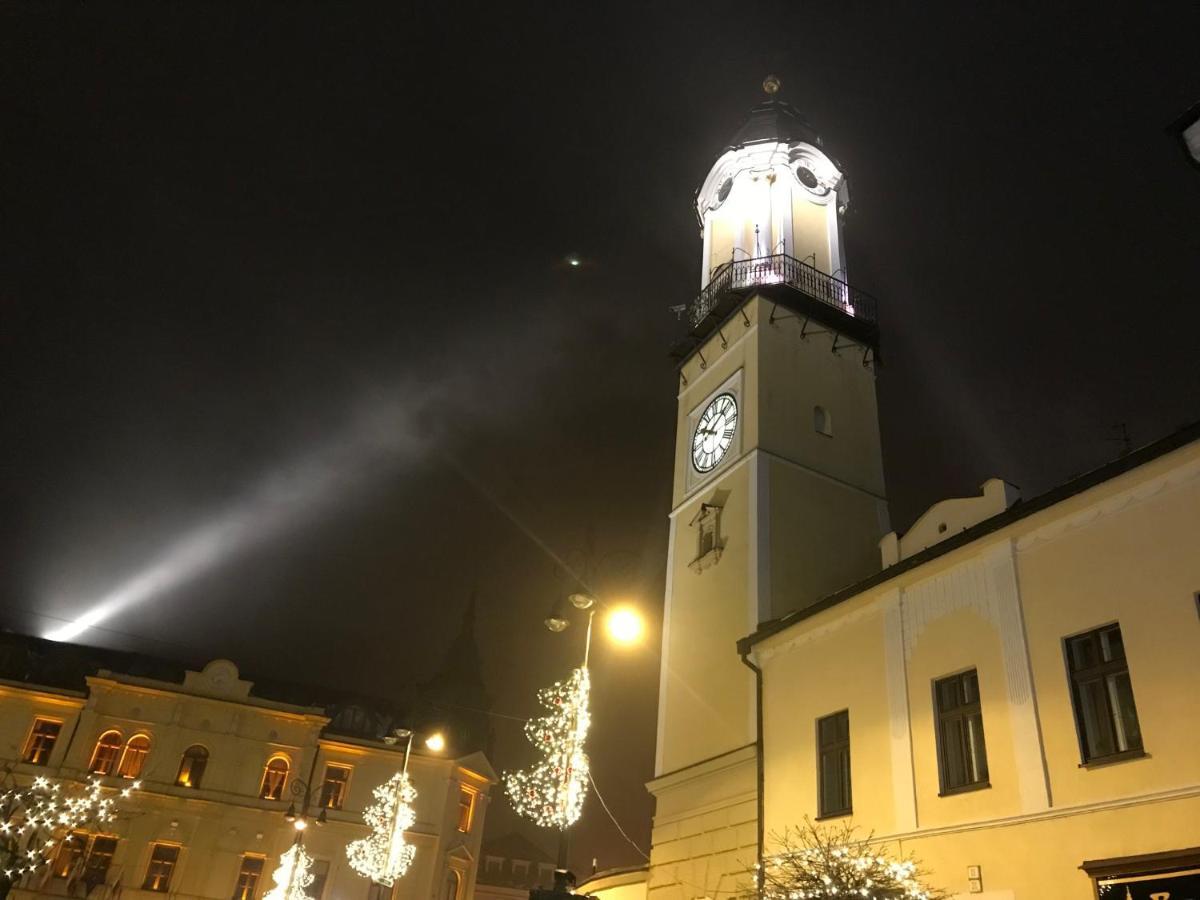 Bl - The Executive Suite, Boru - 24Hr Self Check-In, Free Private Parking, Balcony With Mountain View, 5 Minute Walk To City Center Banská Bystrica Exterior foto