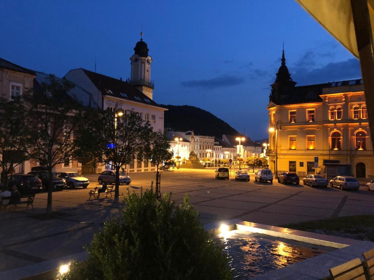 Bl - The Executive Suite, Boru - 24Hr Self Check-In, Free Private Parking, Balcony With Mountain View, 5 Minute Walk To City Center Banská Bystrica Exterior foto